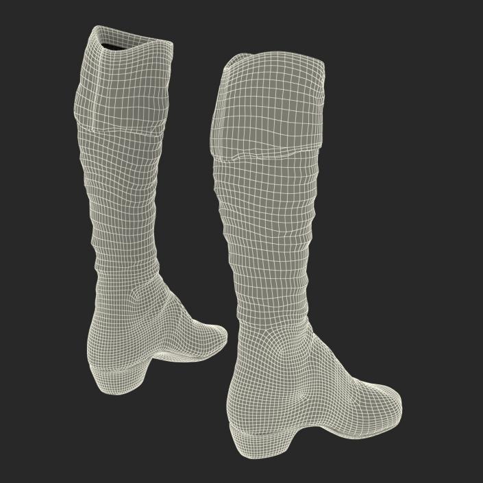 3D model Knee High Boots