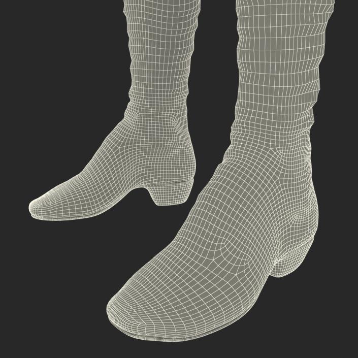 3D model Knee High Boots