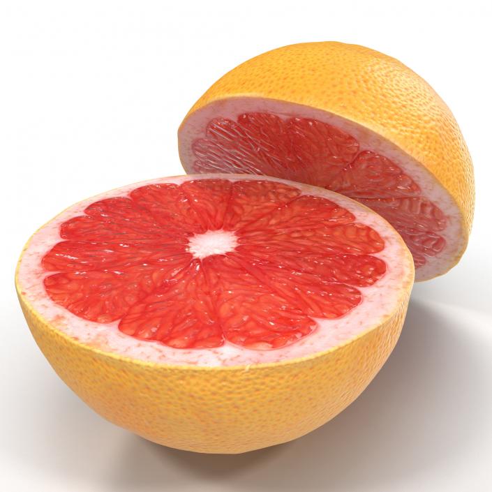 Grapefruit Cross Section 3D model