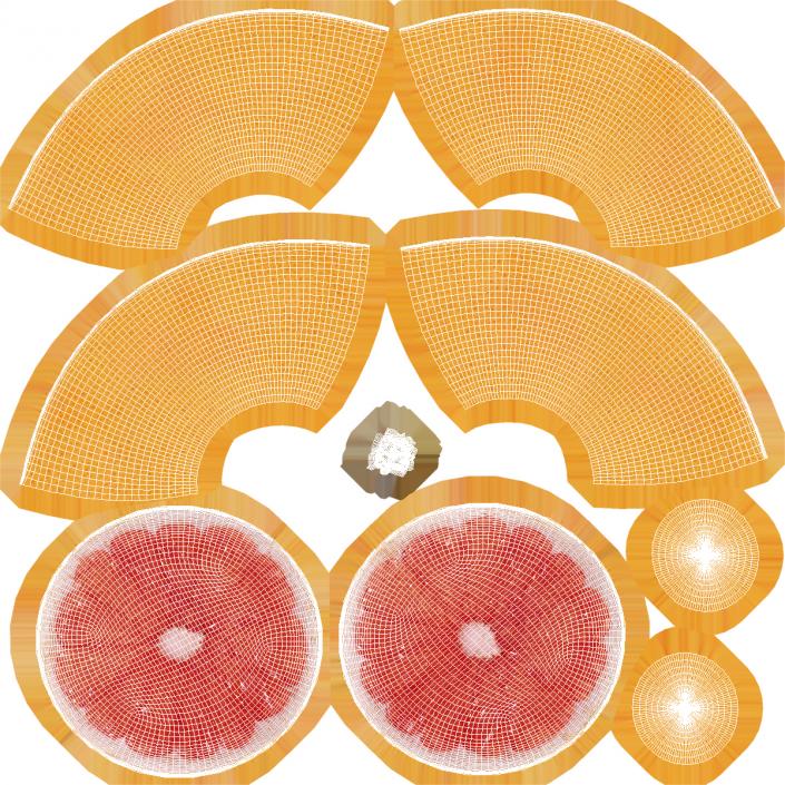 Grapefruit Cross Section 3D model