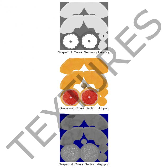 Grapefruit Cross Section 3D model