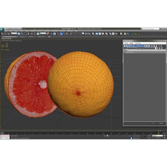 Grapefruit Cross Section 3D model