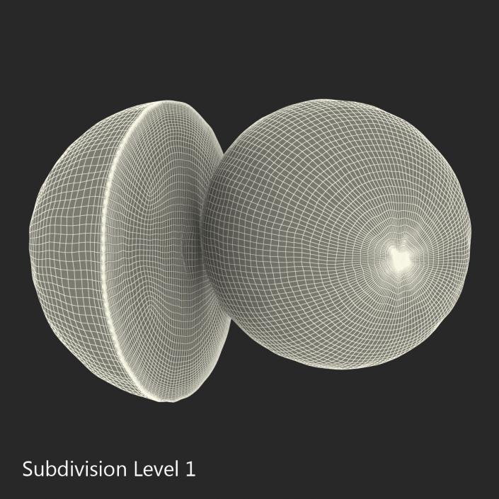 Grapefruit Cross Section 3D model