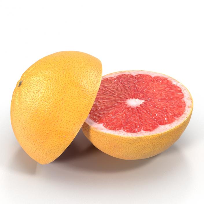 Grapefruit Cross Section 3D model