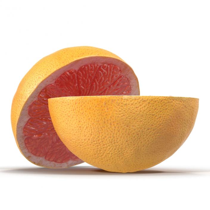 Grapefruit Cross Section 3D model