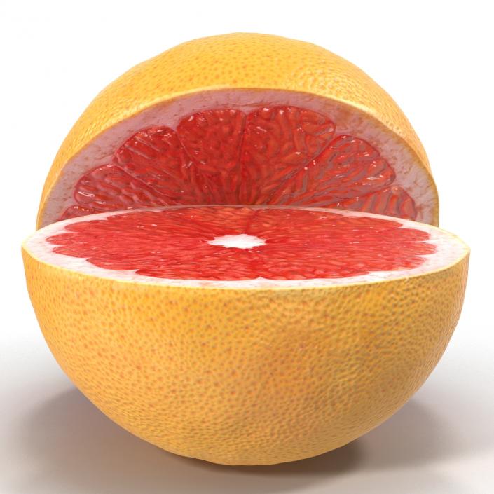 Grapefruit Cross Section 3D model