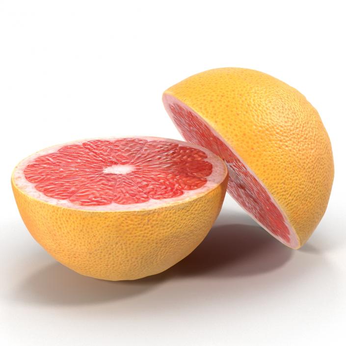 Grapefruit Cross Section 3D model