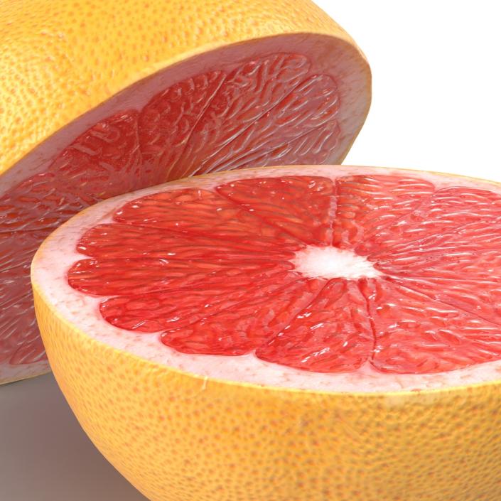 Grapefruit Cross Section 3D model