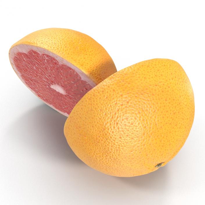 Grapefruit Cross Section 3D model