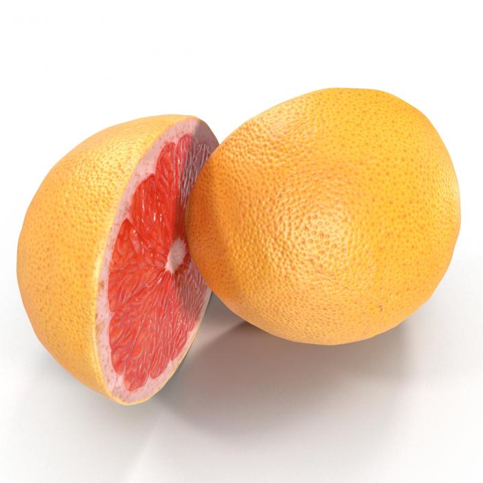 Grapefruit Cross Section 3D model