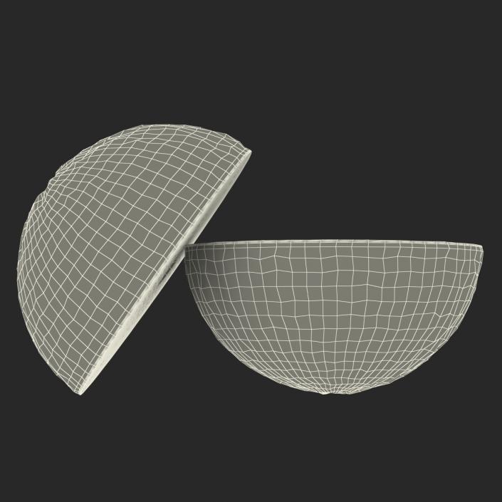 Grapefruit Cross Section 3D model