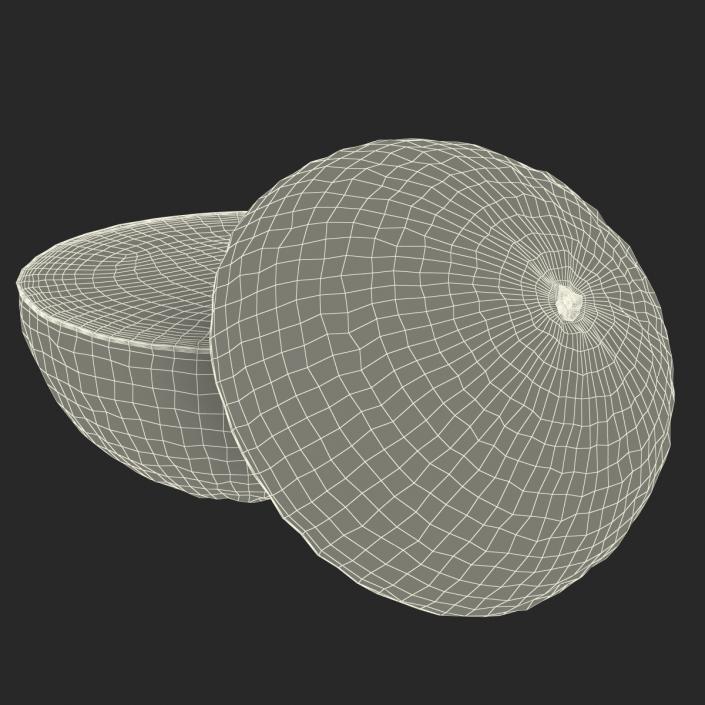 Grapefruit Cross Section 3D model