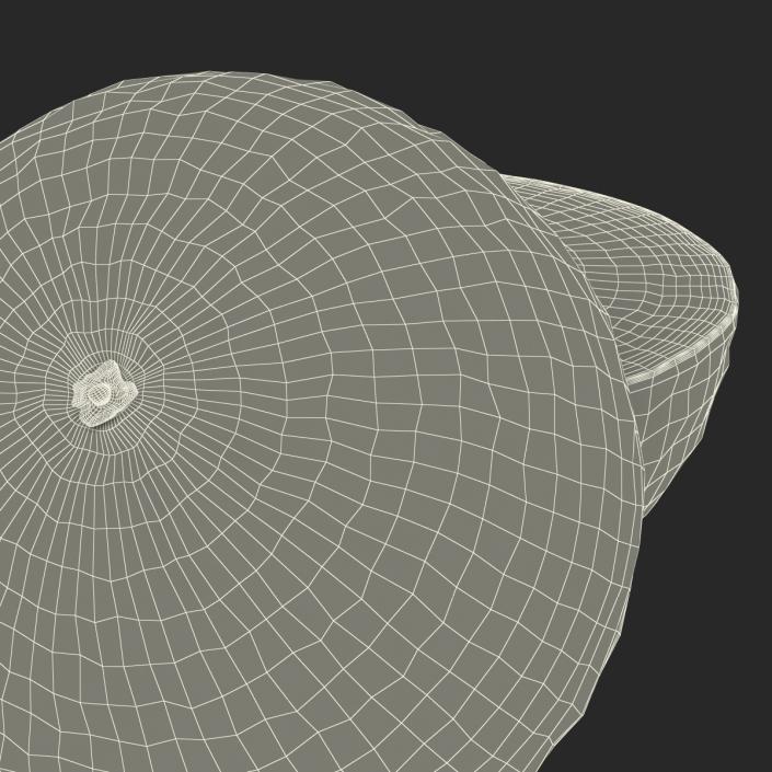 Grapefruit Cross Section 3D model