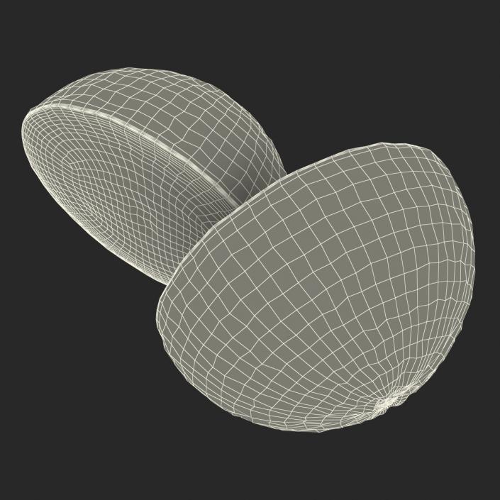 Grapefruit Cross Section 3D model