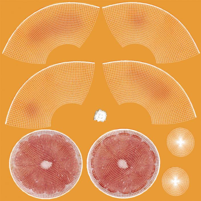 3D Grapefruit Cross Section 2