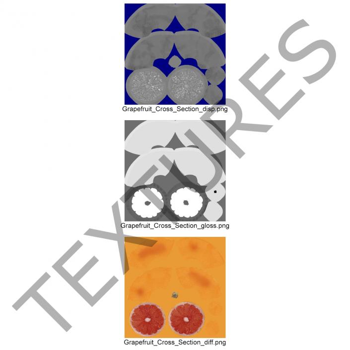 3D Grapefruit Cross Section 2