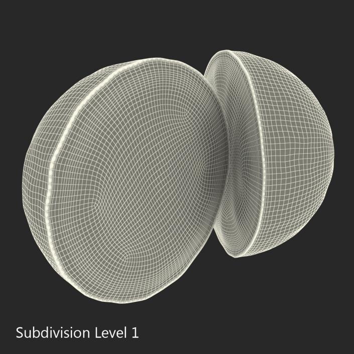 3D Grapefruit Cross Section 2