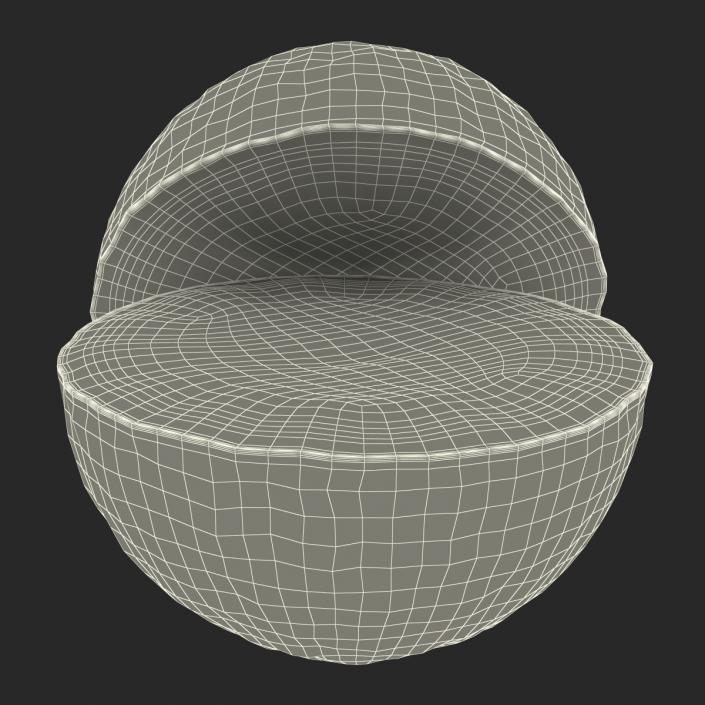 3D Grapefruit Cross Section 2