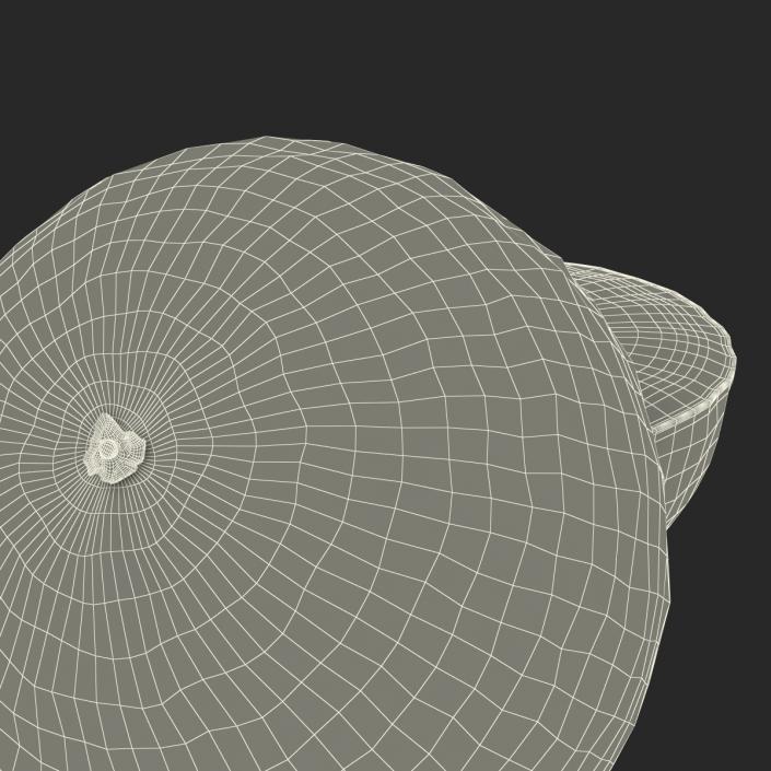 3D Grapefruit Cross Section 2