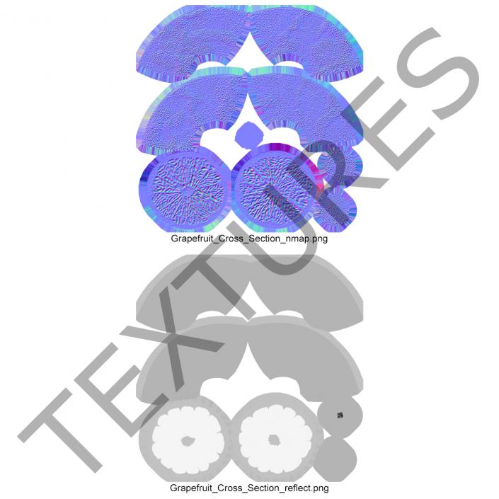3D Grapefruit Cross Section 3