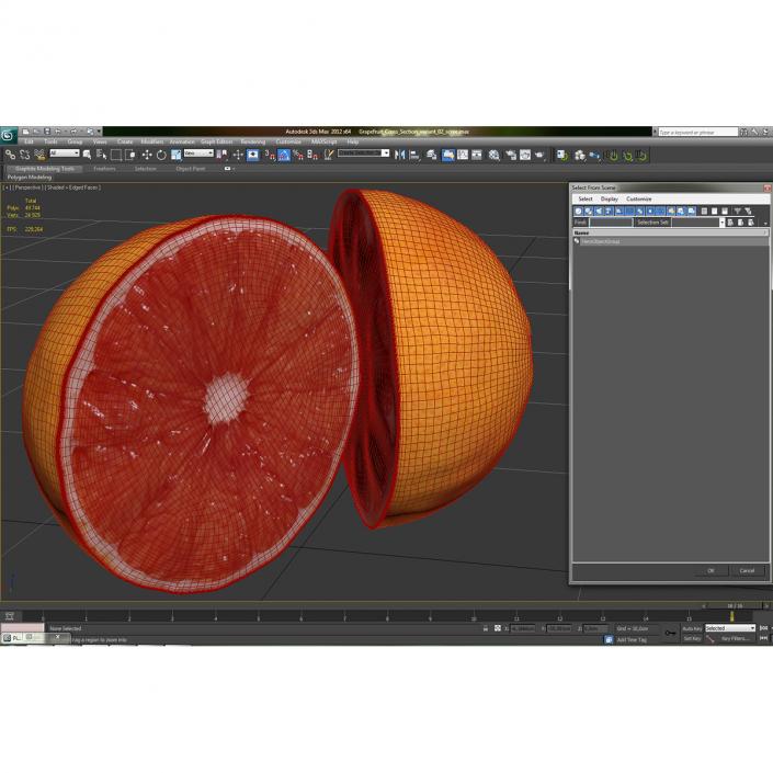 3D Grapefruit Cross Section 3