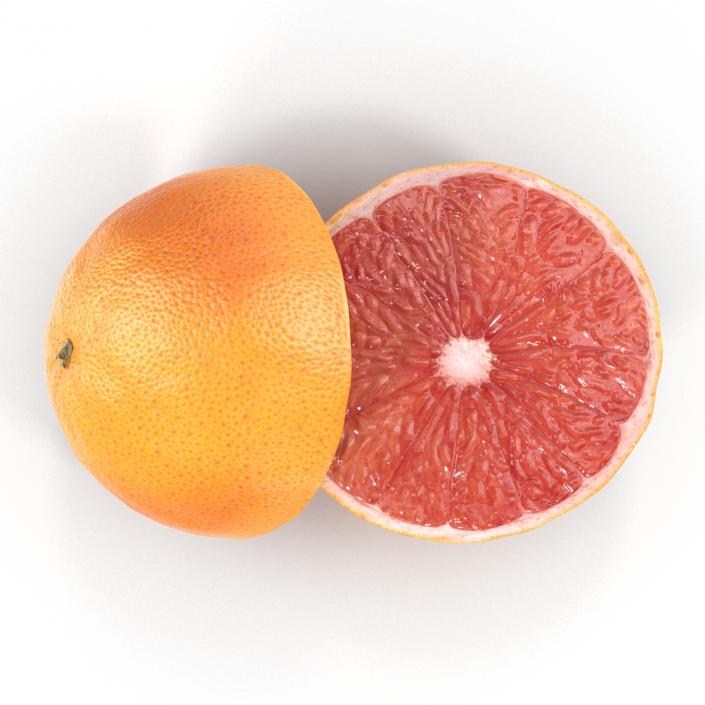 3D Grapefruit Cross Section 3