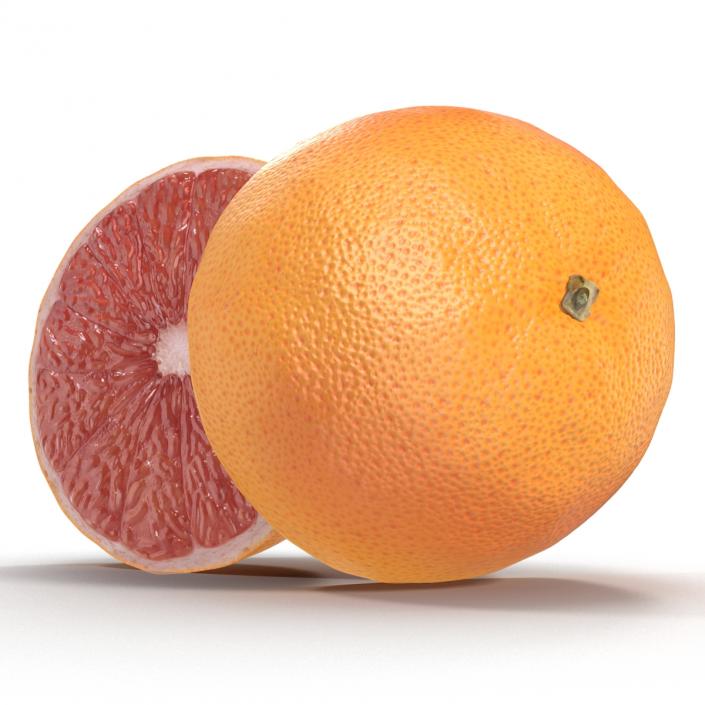 3D Grapefruit Cross Section 3