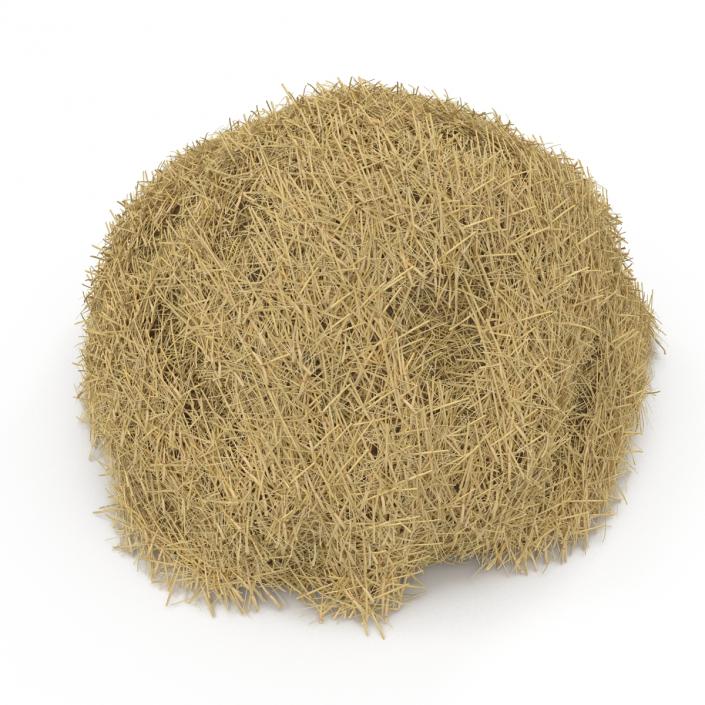 3D model Hay Pile