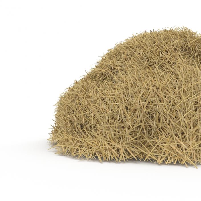 3D model Hay Pile