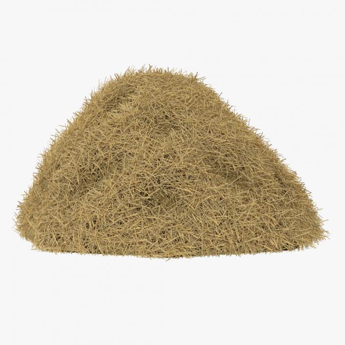 3D model Hay Pile 2