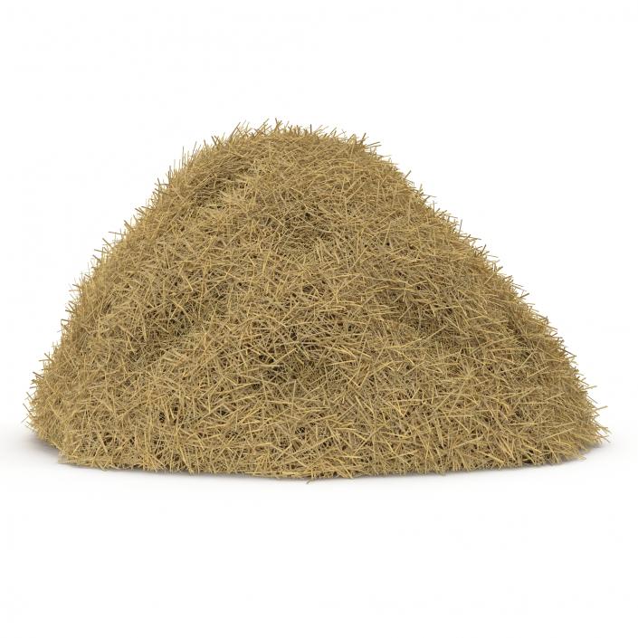 3D model Hay Pile 2