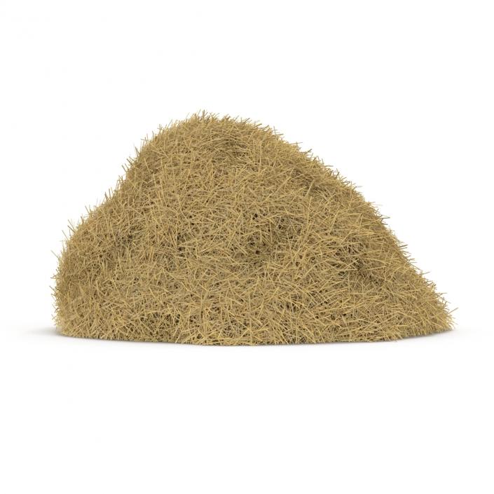 3D model Hay Pile 2