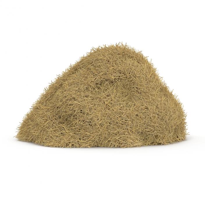 3D model Hay Pile 2