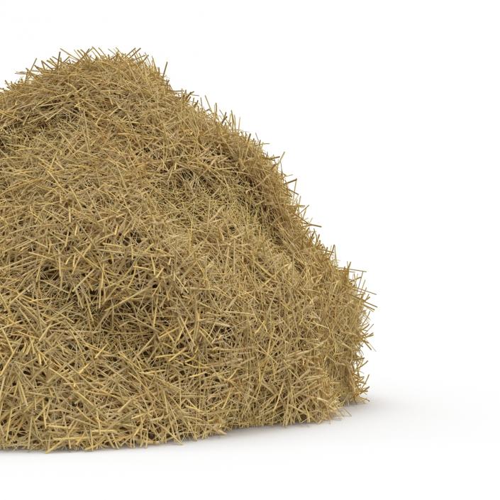 3D model Hay Pile 2