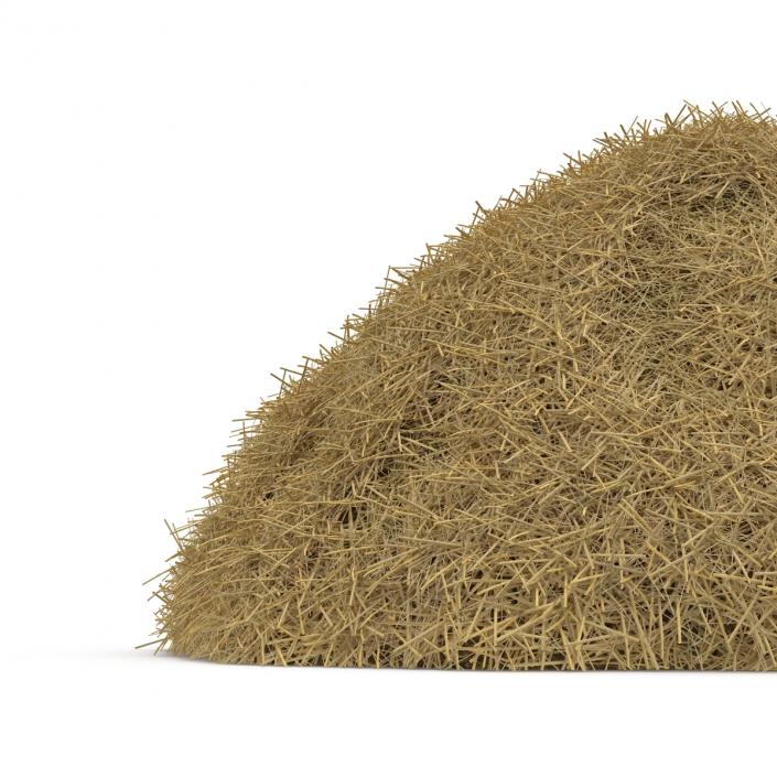 3D model Hay Pile 2