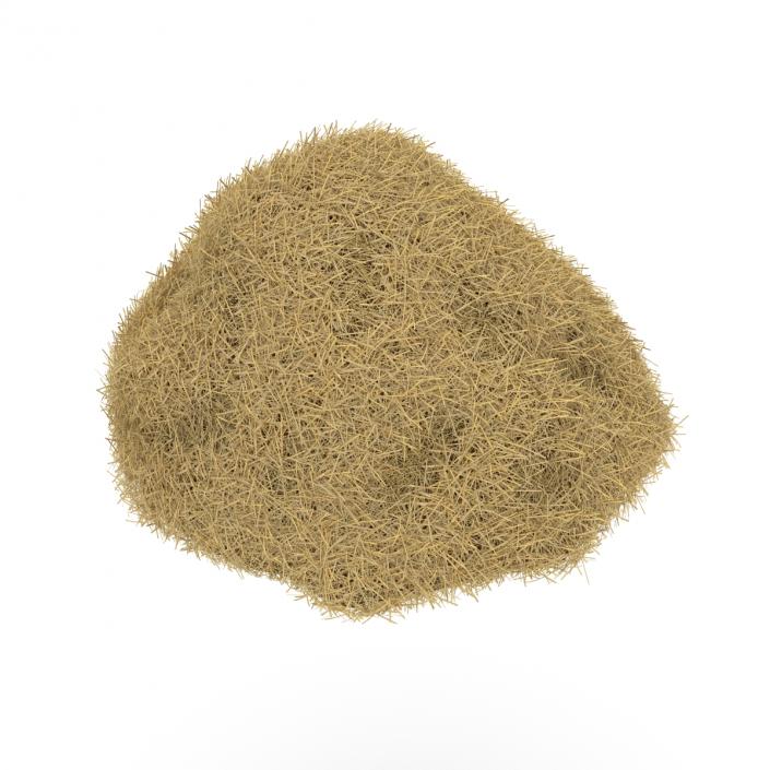 3D model Hay Pile 2