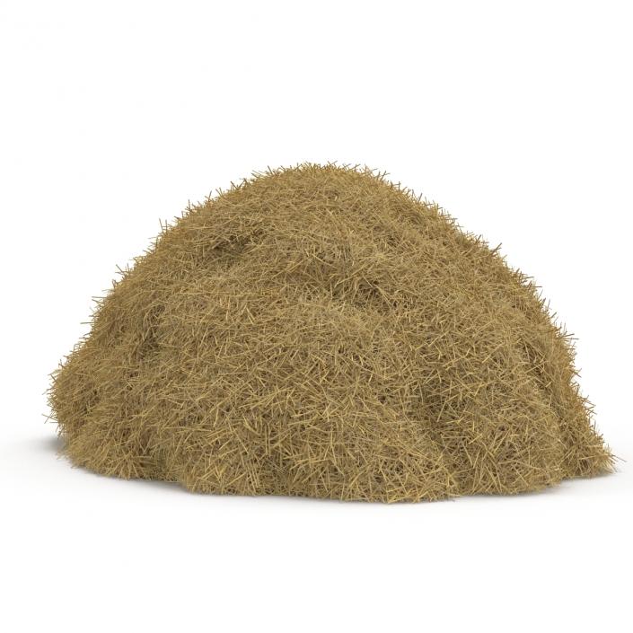 3D model Hay Pile 3