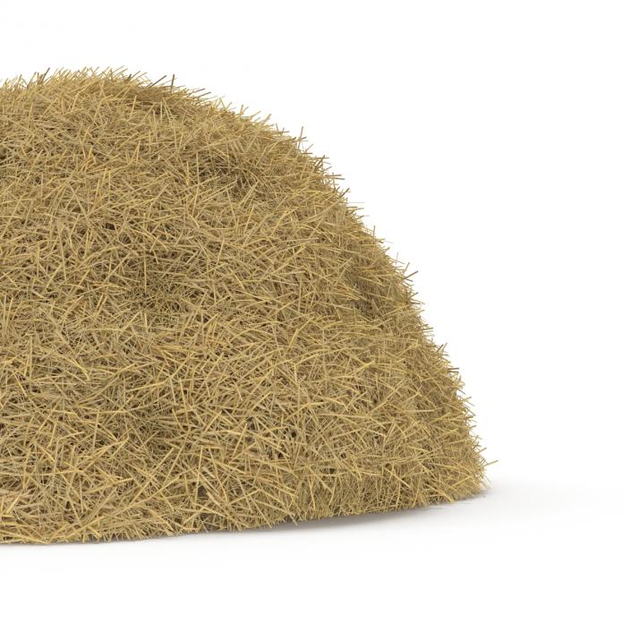 3D model Hay Pile 3