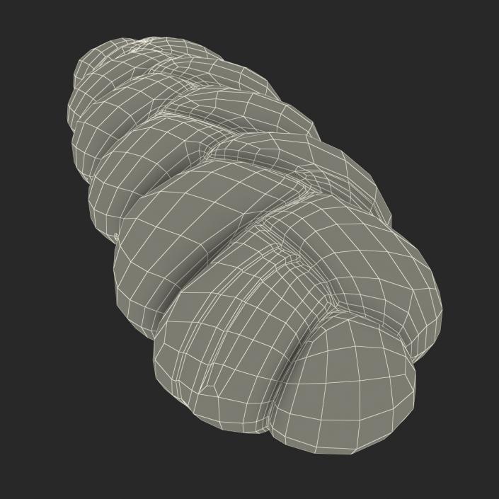 3D Challah Bread model