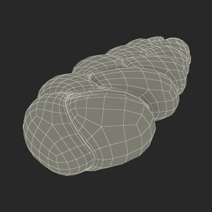 3D Challah Bread model