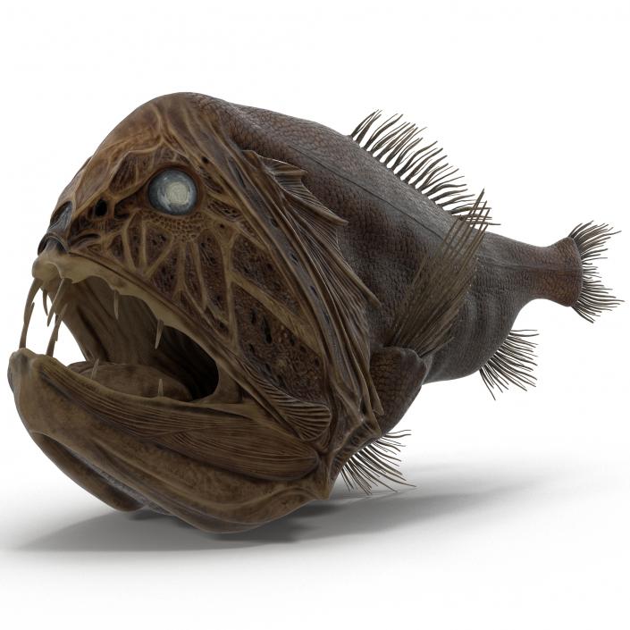 3D Fangtooth Fish 2