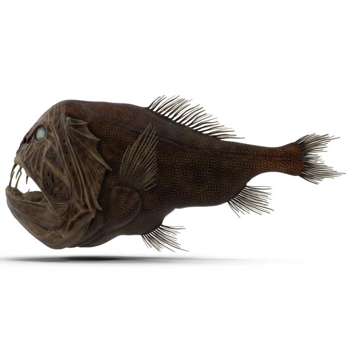 3D Fangtooth Fish 2