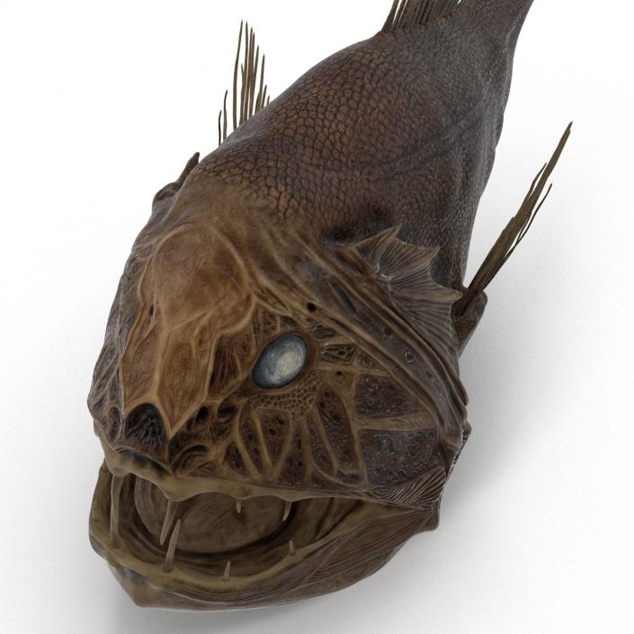 3D Fangtooth Fish 2