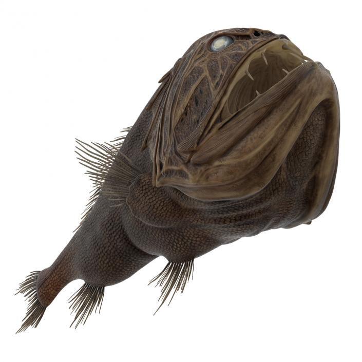 3D Fangtooth Fish 2