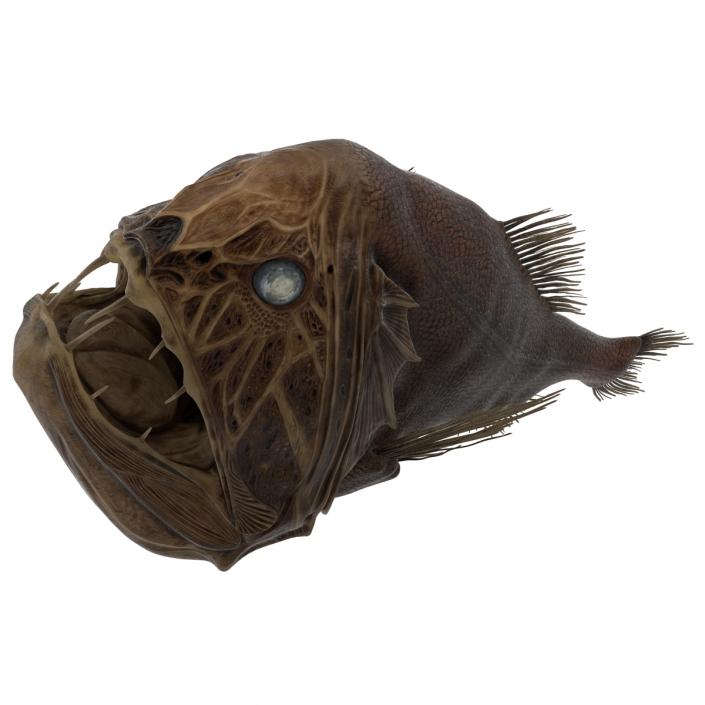 3D Fangtooth Fish 2