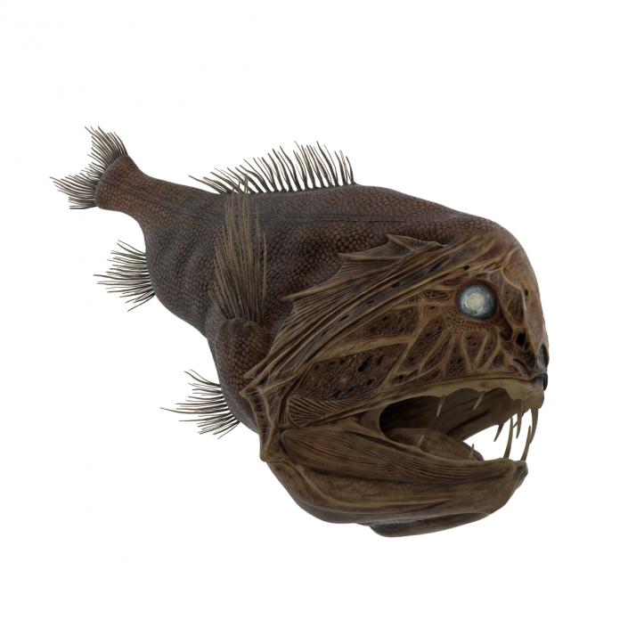 3D Fangtooth Fish 2