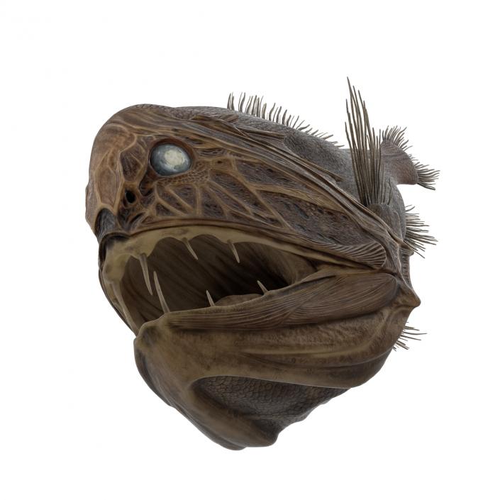 3D Fangtooth Fish 2