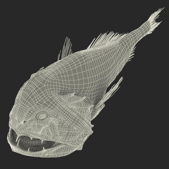 3D Fangtooth Fish 2