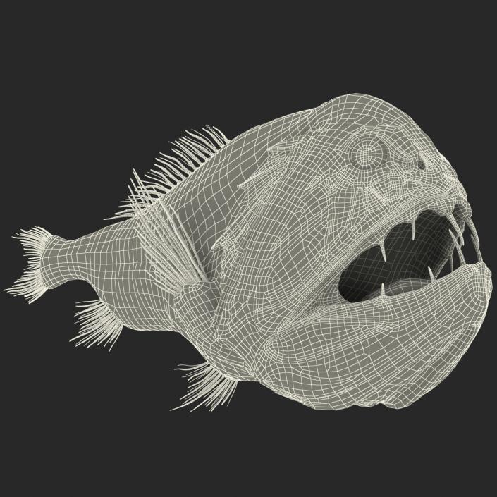 3D Fangtooth Fish 2