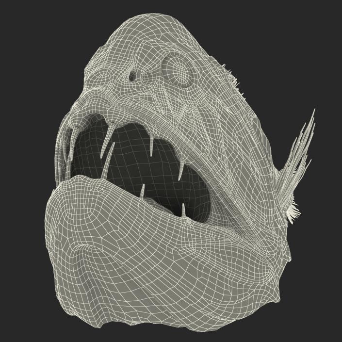 3D Fangtooth Fish 2